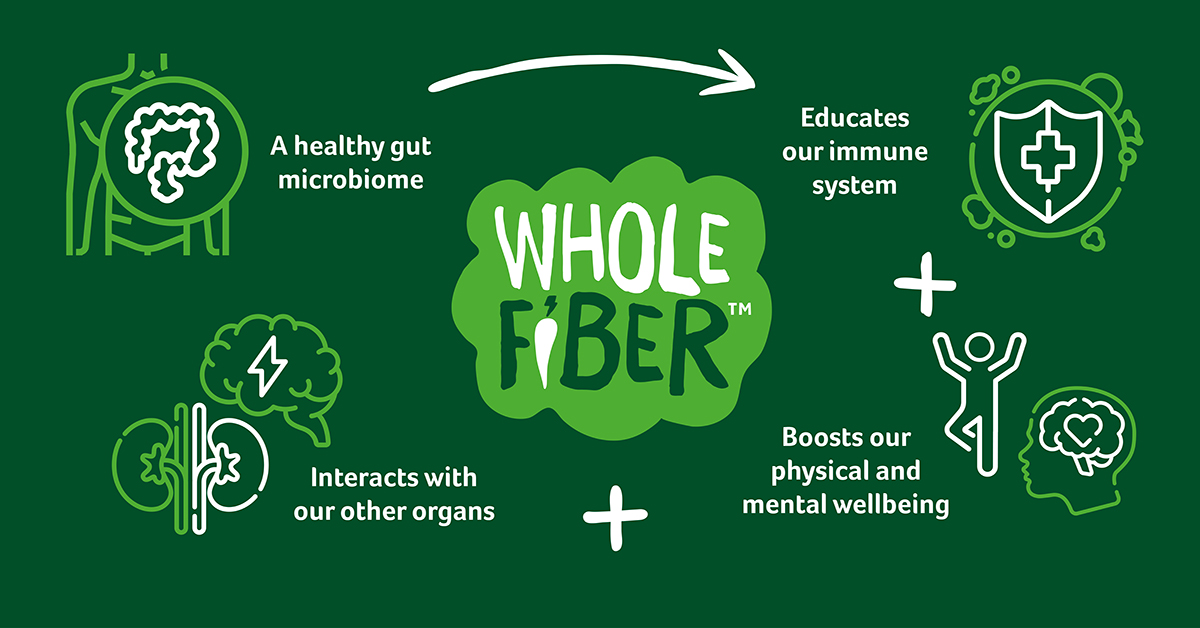 WholeFiber LinkedIn Banner diagram 1200x628px