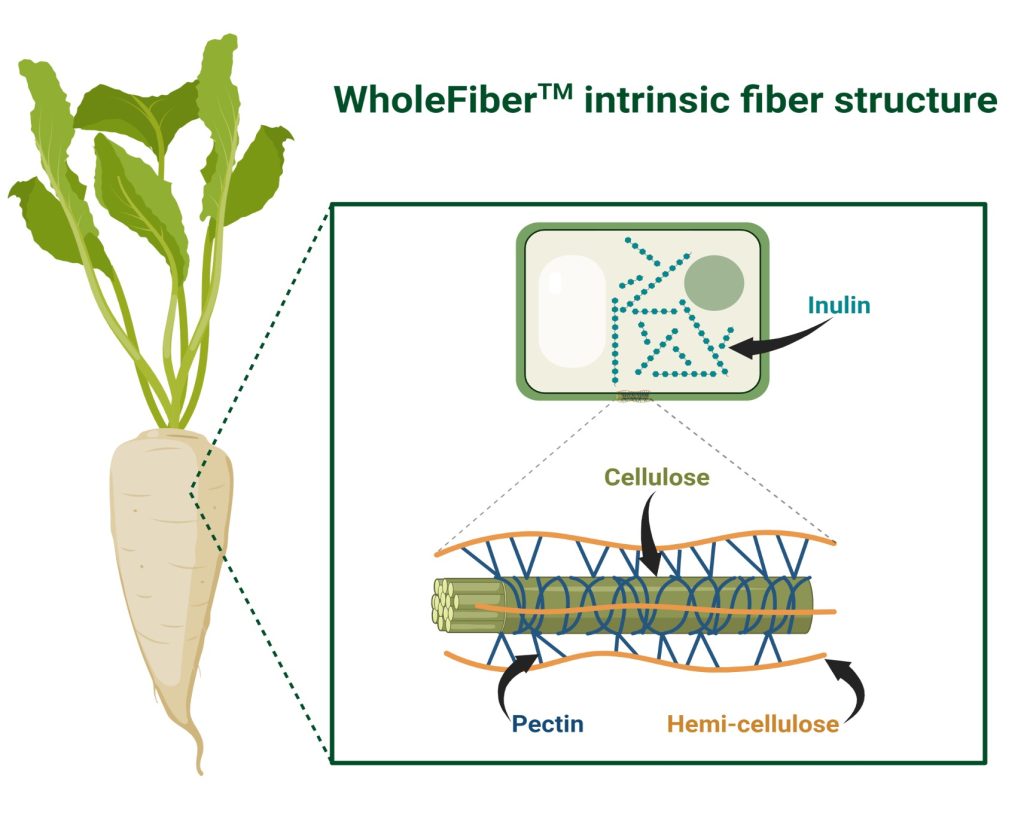 intrinsieke vezel wholefiber