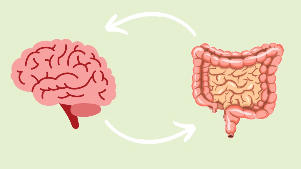 gut brain axis - relatie tussen hersenen en darmen