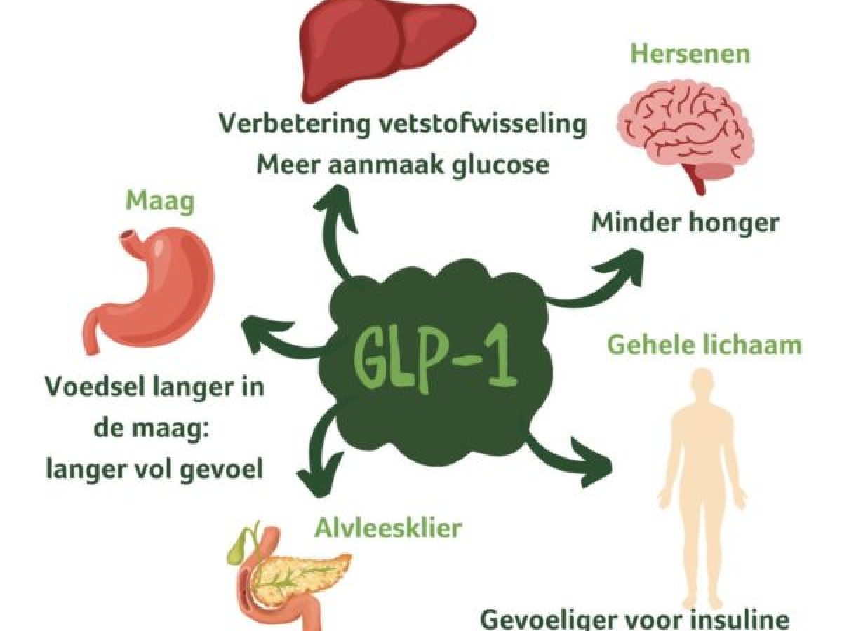 glp 1 wat is dat GLP-1 Is GLP-1 the Same as